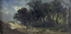 Waldlandschaft Bei Anbrechender Nacht