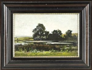 Baumbstandener Weiher by Fritz Halberg-Krauss