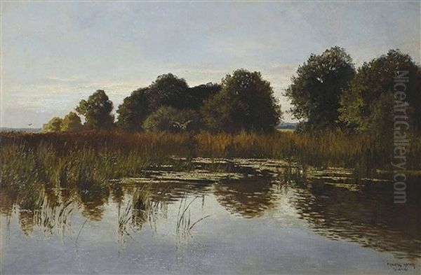 Stiller Weiher - view 1