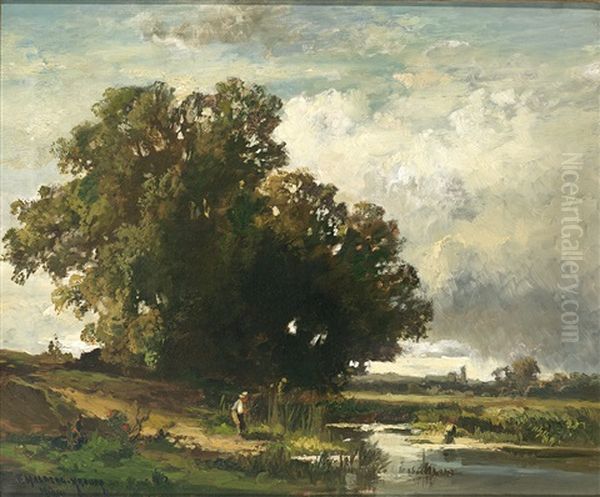 Teichlandschaft Mit Malerischer Baumgruppe Im Abendlichen Gegenlicht - view 1