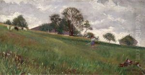 Madchen Mit Rechen Auf Einer Sommerwiese Madchen Mit Rechen Auf Einer Sommerwiese