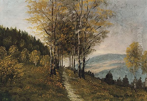 Herbstliche Hugellandschaft - view 1
