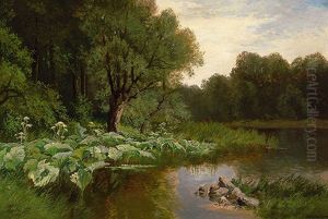 Sommerlandschaft Mit Waldteich Sommerlandschaft Mit Waldteich
