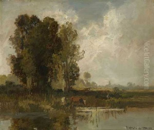 Moorlandschaft Mit Rindern Am Wasser - view 1