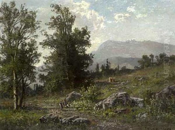 Weg Zum Spitzingsee - view 1