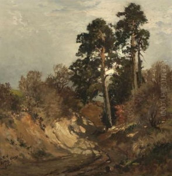 Hohlweg Bei Dachau. Iii - view 1