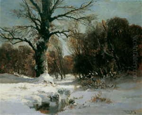 Verschneiter Wald - view 1