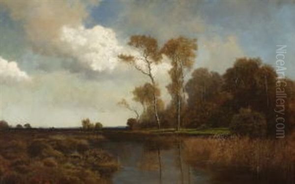 Herbstliche Moorlandschaft - view 1