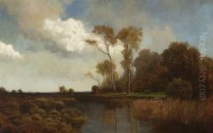 Herbstliche Moorlandschaft