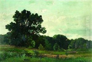 Bluhende Landschaft Am Waldrand Bluhende Landschaft Am Waldrand