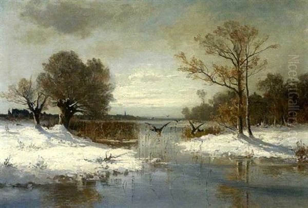 Auffliegende Enten Am Winterlichen See - view 1