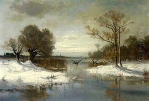 Auffliegende Enten Am Winterlichen See Auffliegende Enten Am Winterlichen See