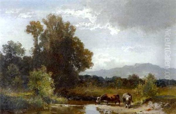 Teichlandschaft Mit Kuhen - view 1