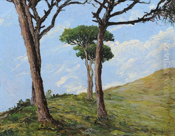 Pini Sopra S.ilario - view 1