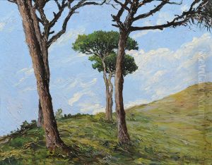 Pini Sopra S.ilario by Guglielmo Baldassini