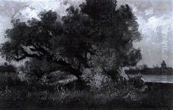 Moorlandschaft Mit Baumgruppe - view 1
