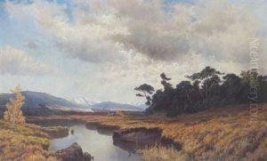 Moorlandschaft (bei Murnau?)