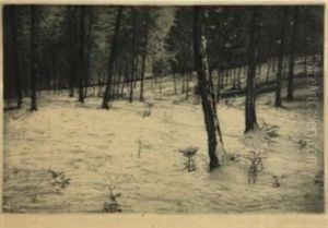 Bosco Sotto La Neve by Guglielmo Baldassini