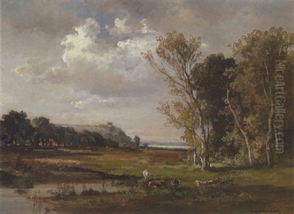 Kuhe An Der Tranke Bei Einem Teich - view 1