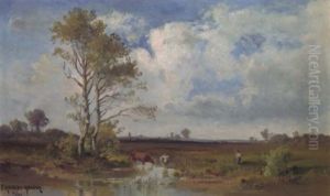 Sommer In Dachauer Moos