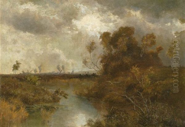 Moorlandschaft Im Fruhherbst - view 1