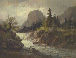 Wildbach Im Gebirge