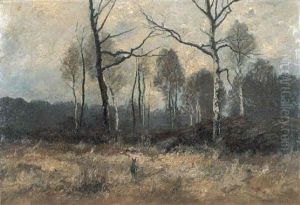 Moorlandschaft Mit Reh Moorlandschaft Mit Reh