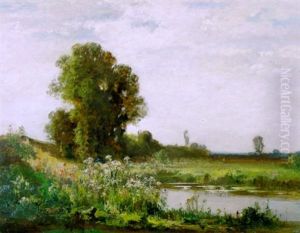 Sommerlandschaft Mit Bluhenden Stauden An Einem Weiher