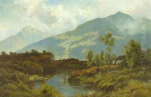 Moorlandschaft Vor Gebirgszugen