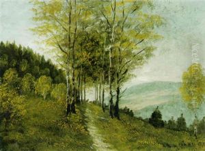 Birkenallee Im Herbst Birkenallee Im Herbst