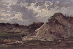 Uferhang Mit Gras Und Buschwek