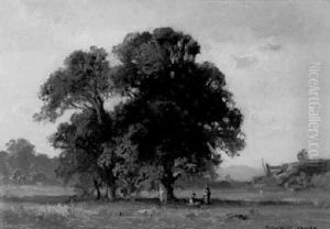 Baumgruppe In Huegeliger Landschaft