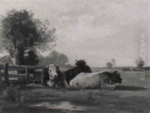 Weidelandschaft Mit Kuhen Unter Kopfweiden