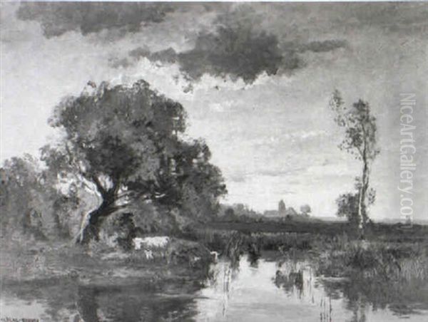 Sumpfige Landschaft - view 1