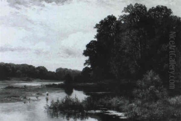 Baumreiche Flusslandschaft - view 1
