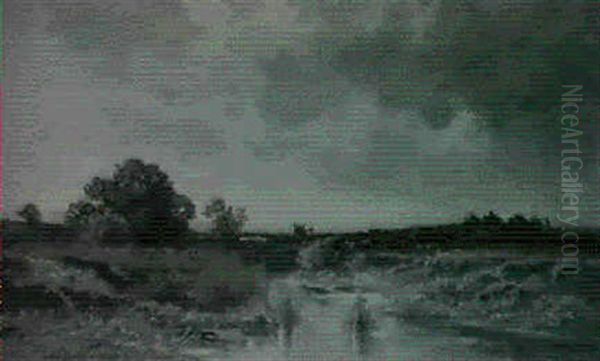 Oberbayerische Moorlandschaft - view 1