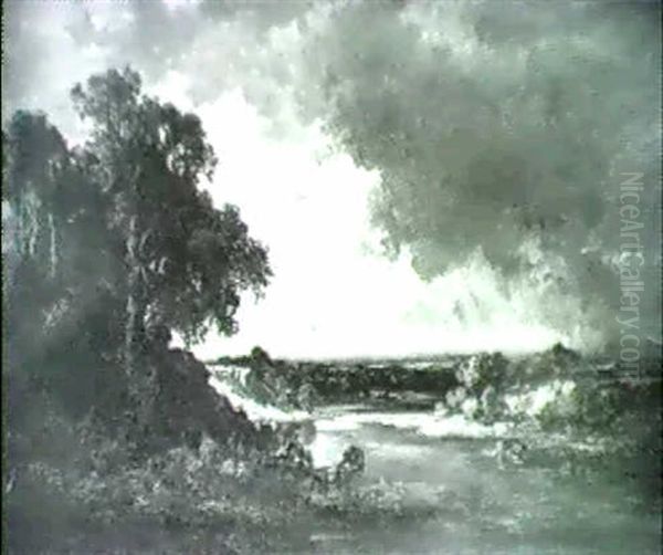 Moorlandschaft Im Voralpenland - view 1