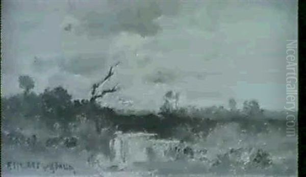 Moorlandschaft In Abendstimmung - view 1