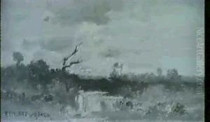 Moorlandschaft In Abendstimmung