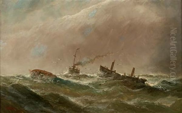 In Difficulty At Sea - view 1