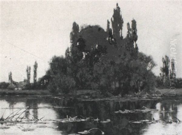 Near Abingdon-on-thames - view 1
