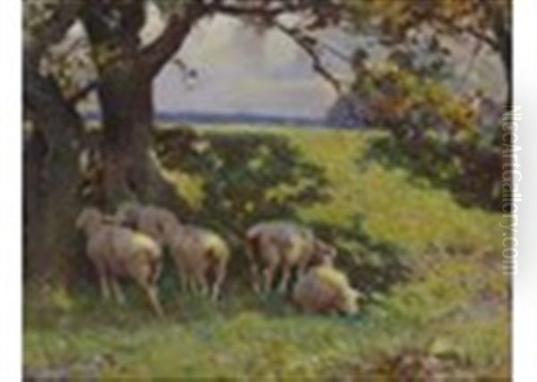 A Small Flock Of Sheep In The Shade - view 1