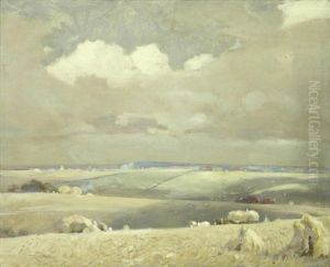 Cloud Shadows In The Lambourne Vale