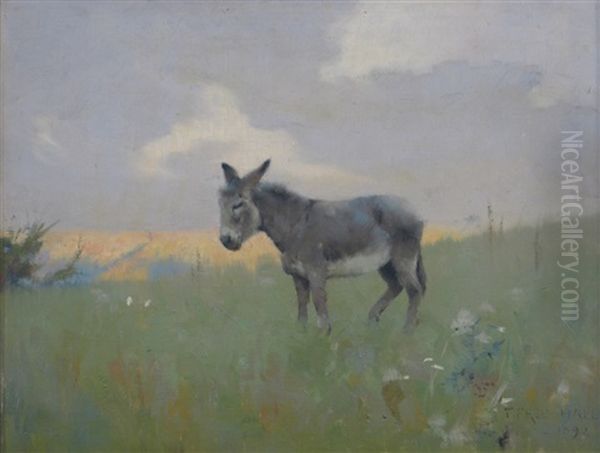 A Donkey In A Landscape - view 1