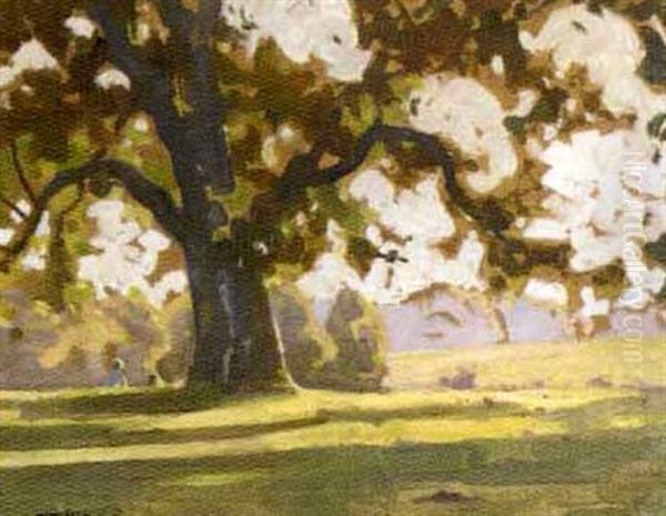 In The Shade Of The Tree - view 1