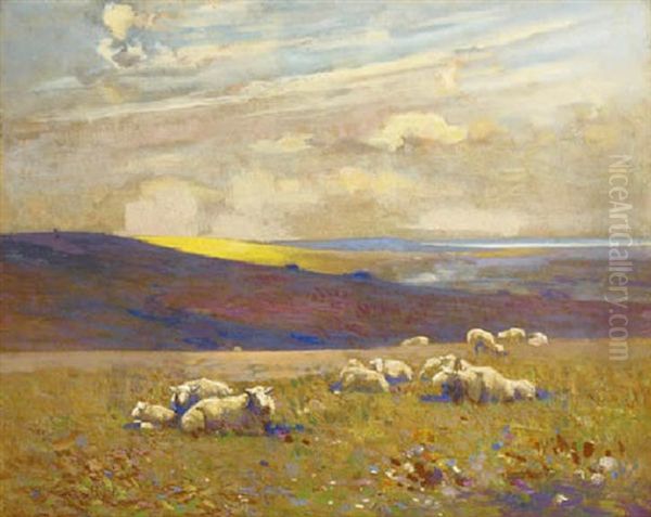 Morning On The Downs - view 1