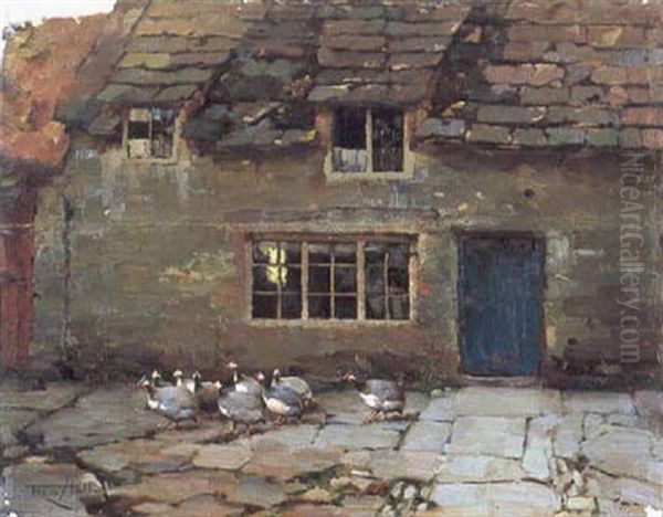 Guinea Fowl In Front Of A Cottage - view 1