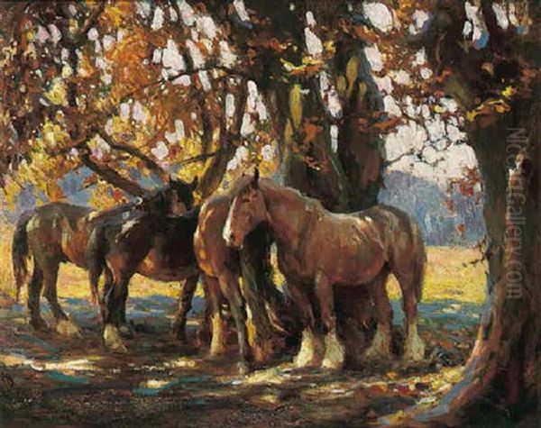 In The Shade Of The Trees - view 1