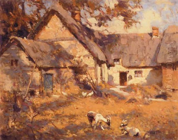 Farmyard With Goats - view 1