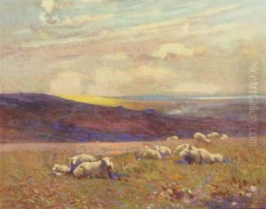 Grazing Sheep Grazing Sheep